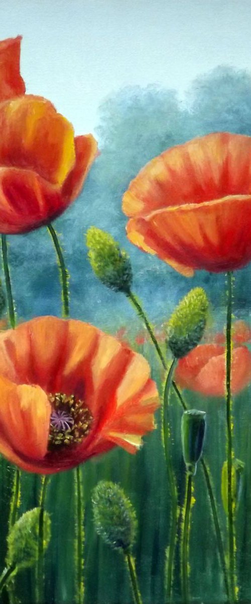 Poppy Field 2 by Oleg Riabchuk