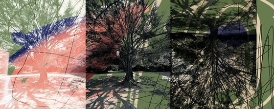NWR#9 forest II