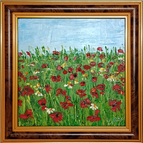 Poppy fields