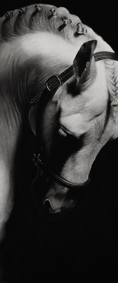 untitled by Mariam Darchiashvili