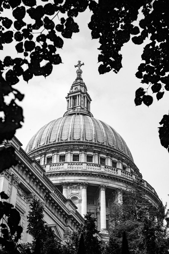 Natural framing : St Pauls Cathedral NO: 2 B&W   1/20 12" X 18"