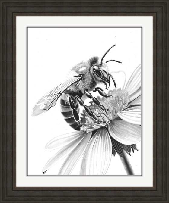 Bee in Pencil #4