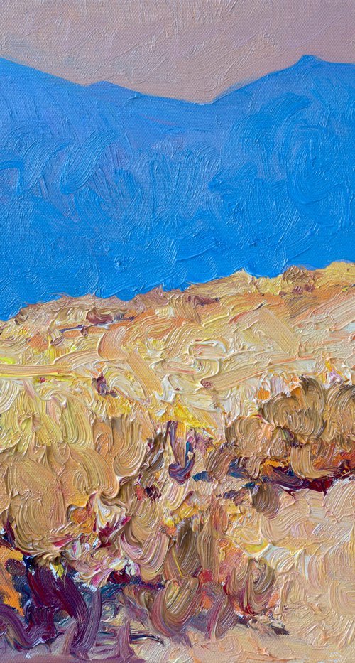 Desert by Suren Nersisyan