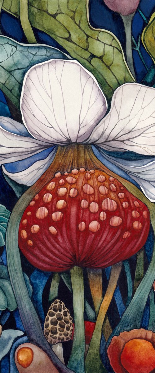 Mushroom Garden 4 by Lisa Lennon