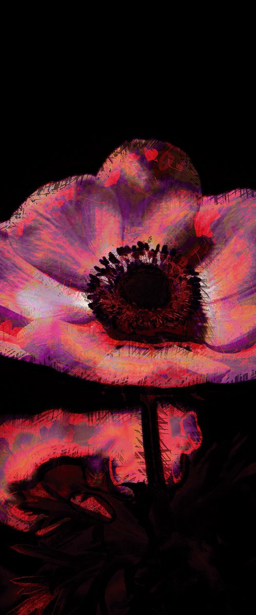 Tres flores rosa by Javier Diaz