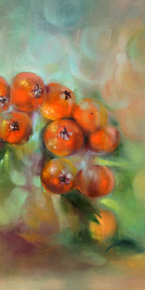 Cotoneaster in my garden by Isabel Tapias