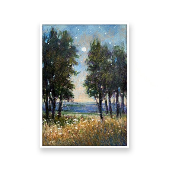 Moonlight Meander