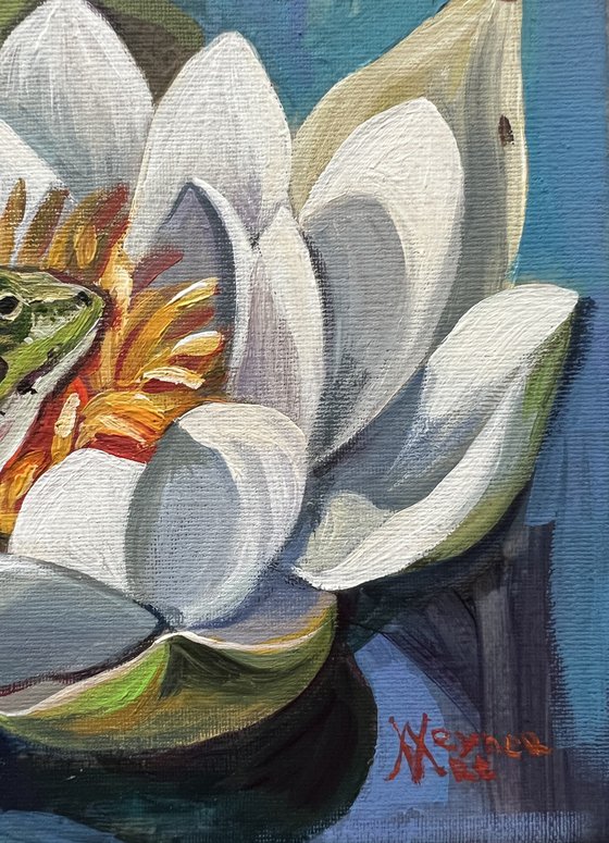 The Frog Princess. Frog on a water lily. Frog and waterlilies.