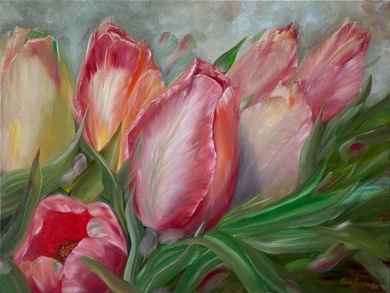 Spring Tulips