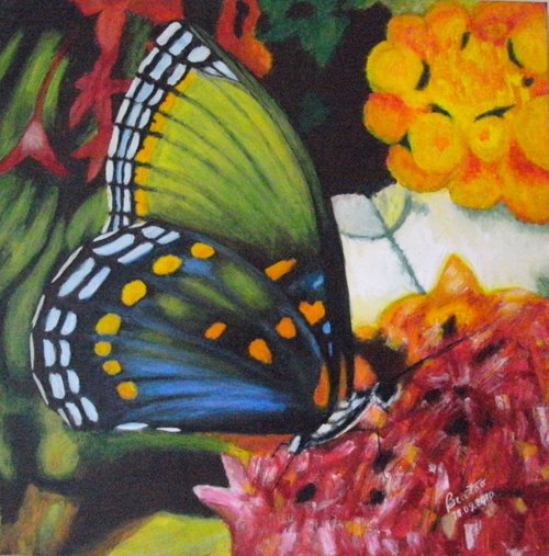 Butterfly by Brazao