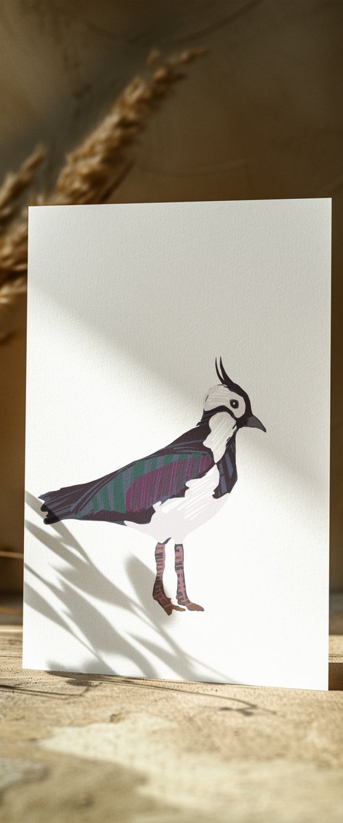 A LAPWING BIRD by Emma Evans-Freke