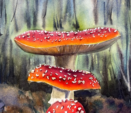 Sunlit Forest Mushrooms