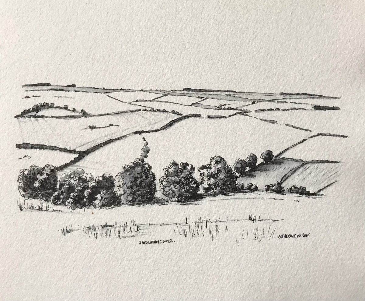 Winter Trees in Pen and Ink - Lincolnshire Landscape by Catherine Winget