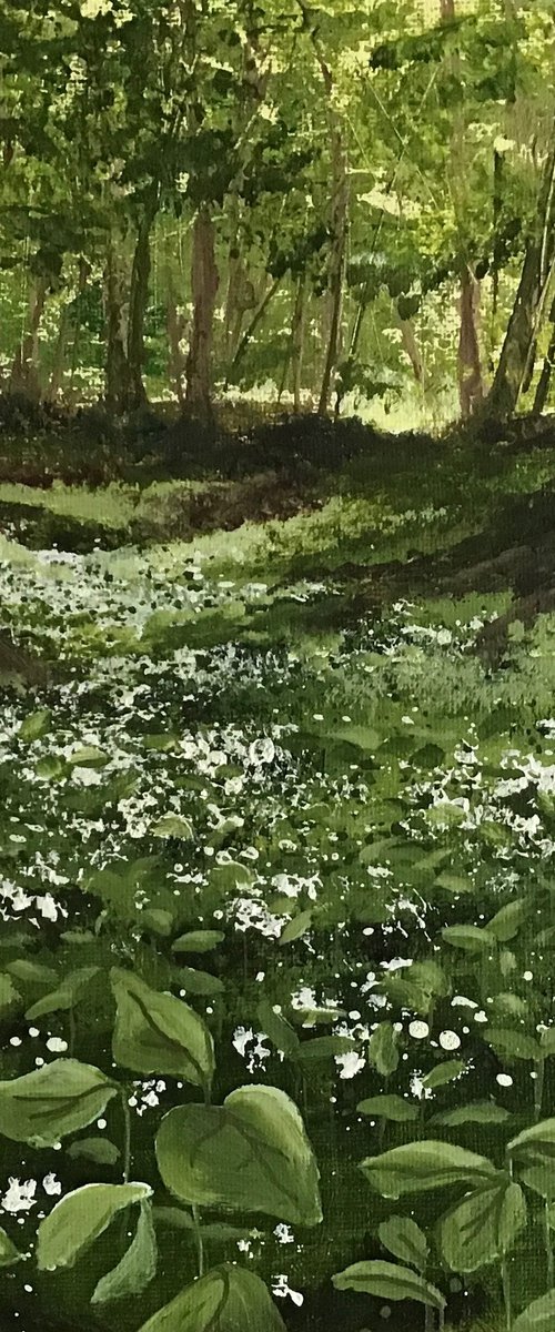 Wild Garlic in the Woods by Valerie Jobes