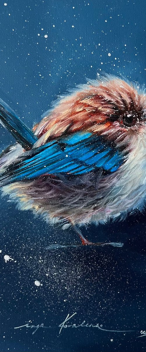 Robin bird by Inga Kovalenko