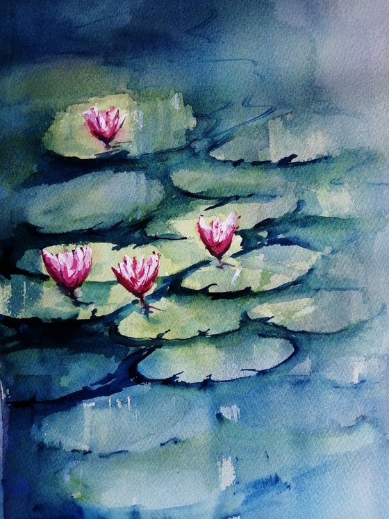 Lily pond