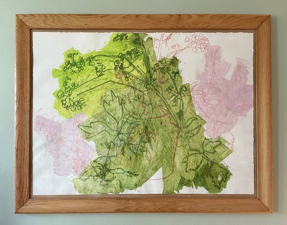 Light Through Leaves