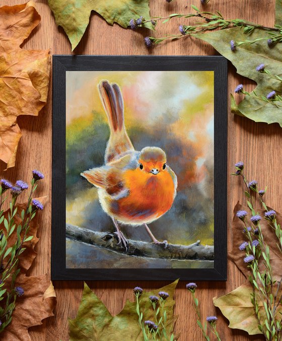 Little robin bird on a branch