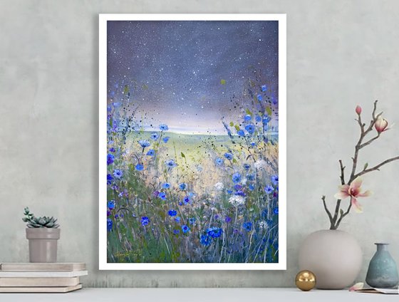 Cornflowers Under The Stars