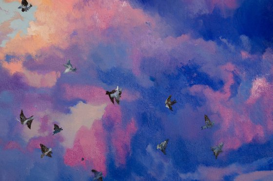 Gulls