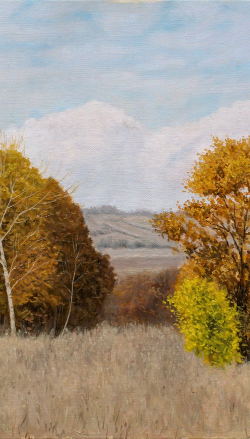 The Meadow in Autumn by Dejan Trajkovic