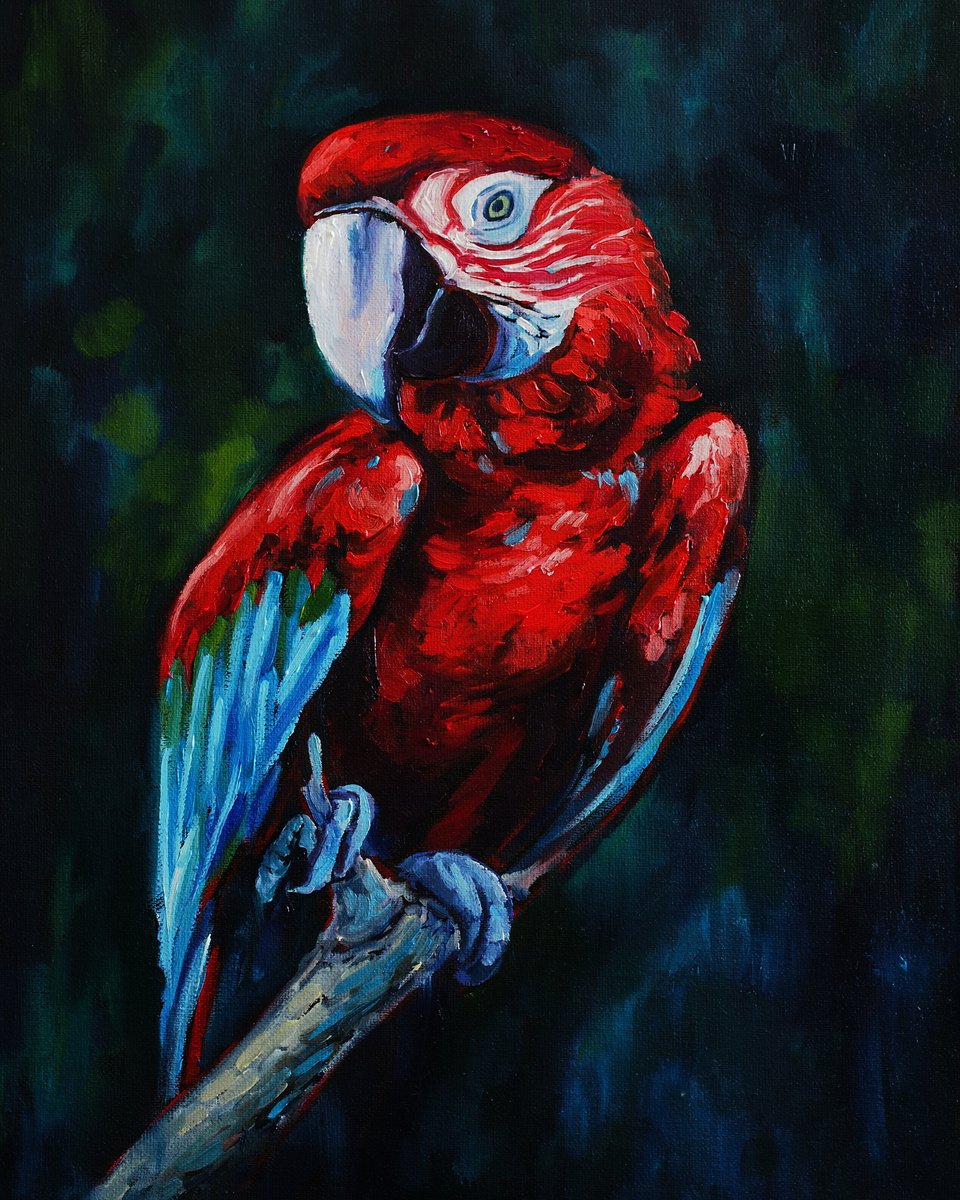 Red macaw parrot The painting is at an art exhibition and will be available for purchase a... by Alfia Koral