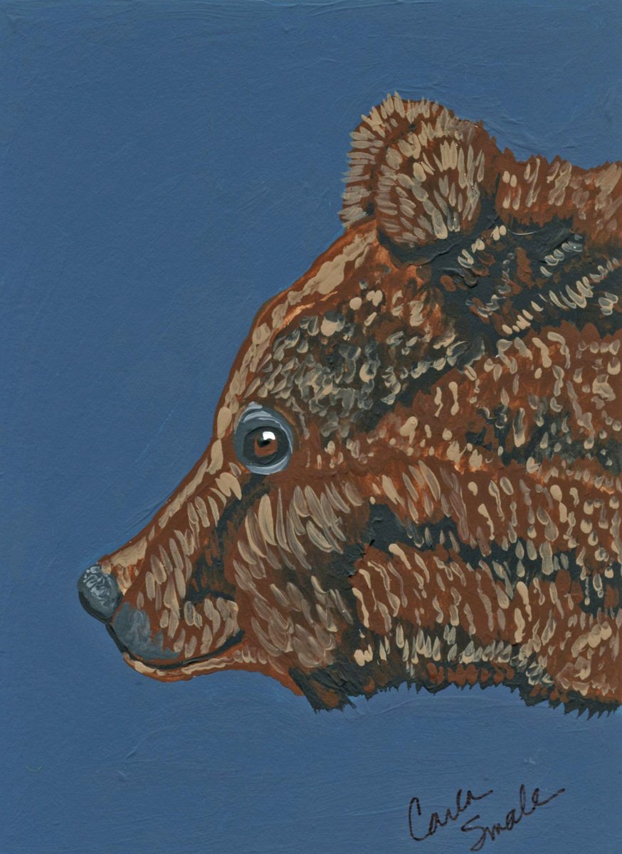 Brown Bear by Carla Smale