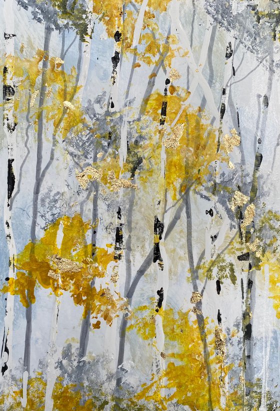 Slender Silver Birch Trunks