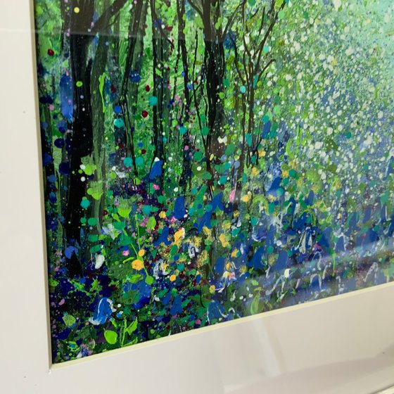 Bluebells