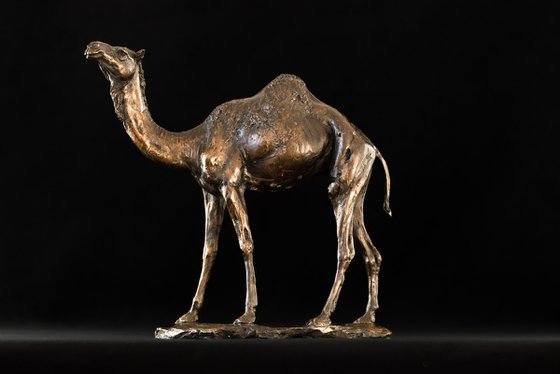 Camel Foundry Bronze sculpture