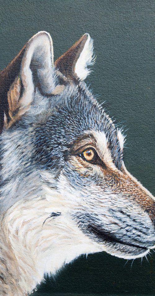 Wolf head by Norma Beatriz Zaro