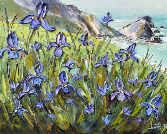 Pacific Coast Irises