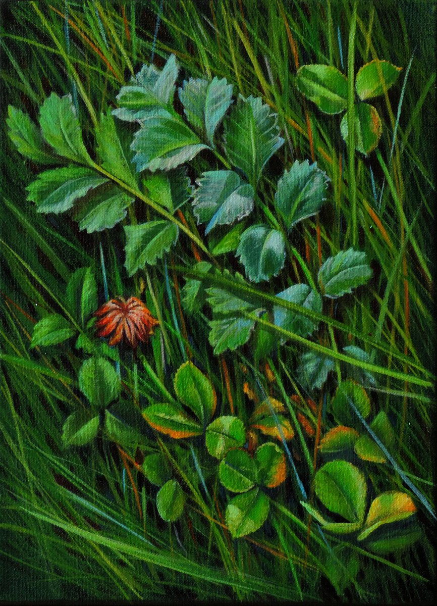 Photorealistic Botanical Acrylic Painting By Laura Cabral, 7 X 9", Wild Herbs, Original Artwork