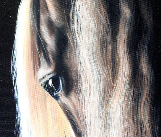 Light on the horse's mane