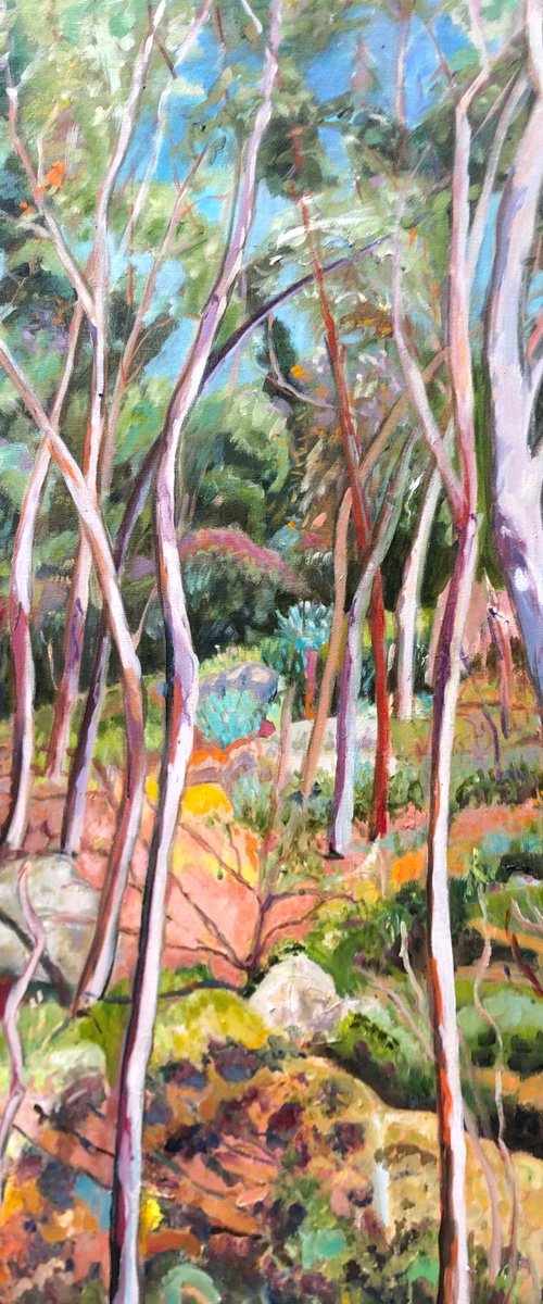 morialta falls landscape 3 by Maureen Finck