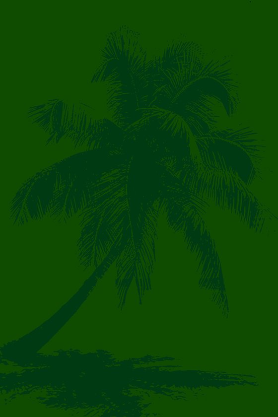 Palm tree_3