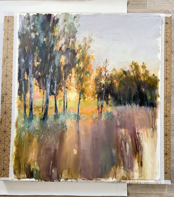 Light Between the Trees