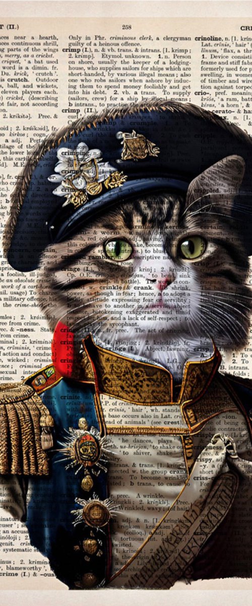 Military Dressed Kitty by Misty Lady - M. Nierobisz