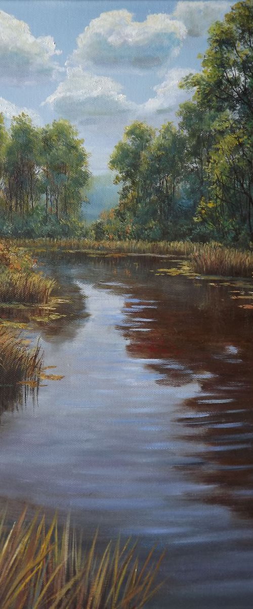 Backwater by Oleg Riabchuk