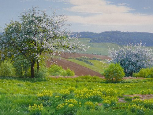 May landscape by Mlynarcik Emil