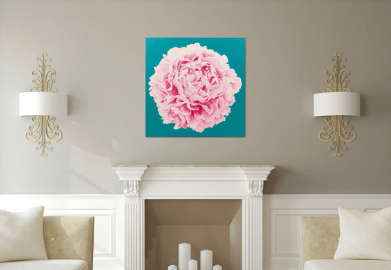Pink Parfait. Peony.
