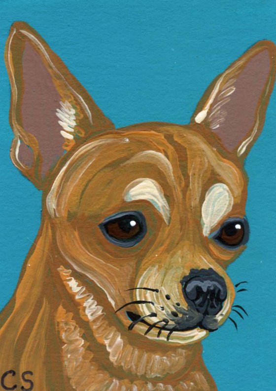 ACEO ATC Original Miniature Painting Blonde Chihuahua Pet Dog Art-Carla Smale