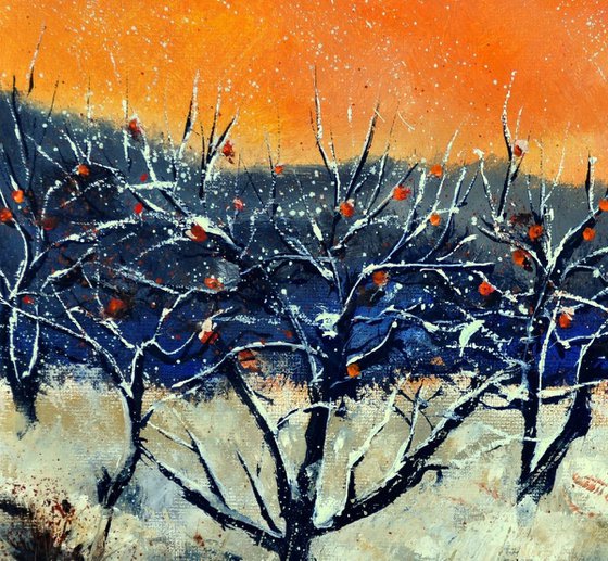 apple trees in winter