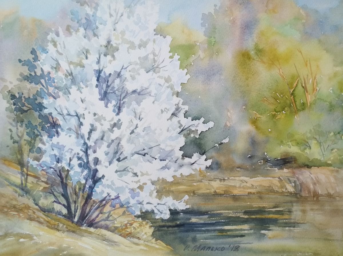 Blossom tree / Blooming tree art Spring watercolor White green landscape by Olha Malko
