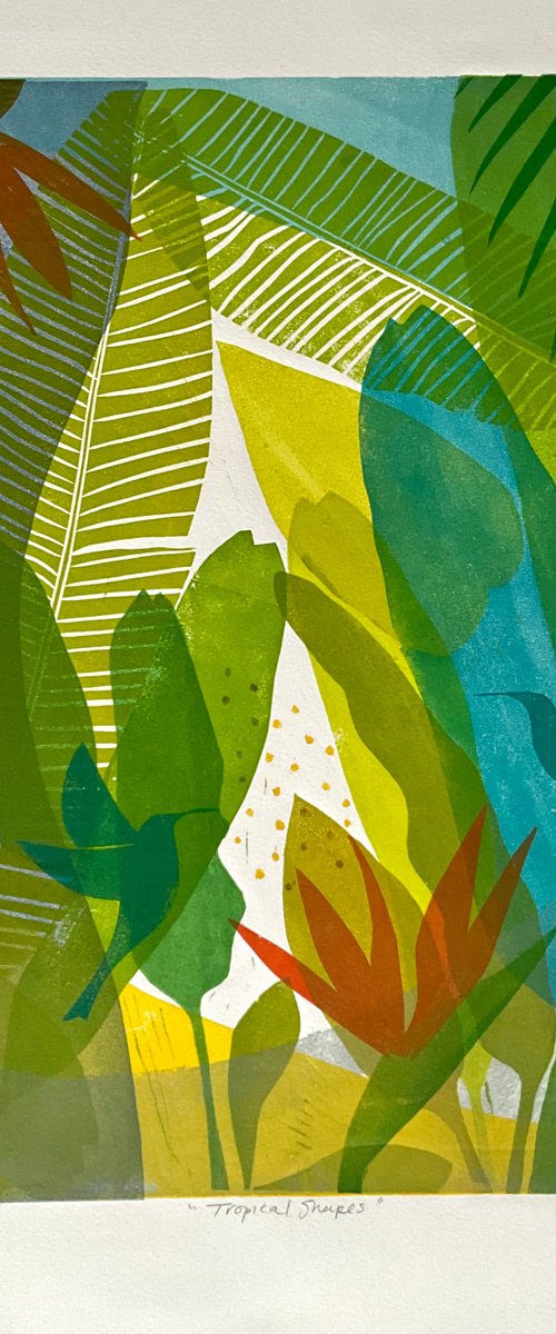 Tropical Shapes by Alison Headley