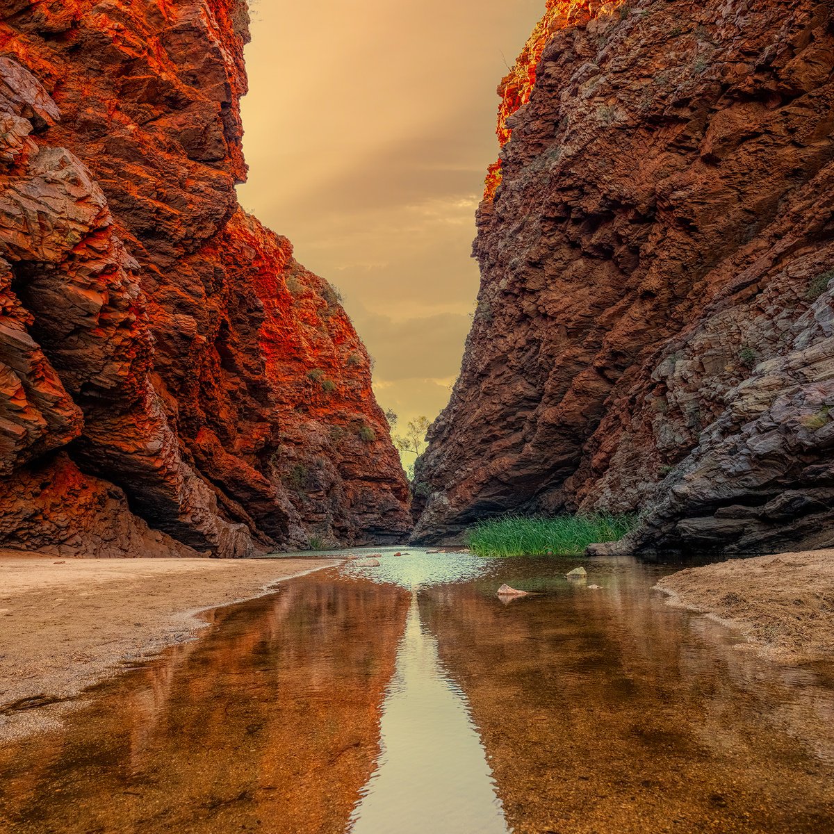 Photorealistic Landscape Photograph By Nick Psomiadis, 35 X 35", Rungutjirpa, Original Artwork