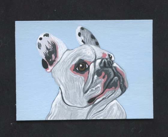 ACEO ATC Original Miniature Painting Pied French Bulldog Pet Dog Art-Carla Smale