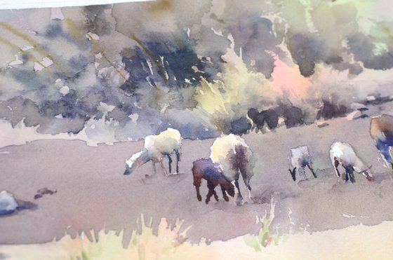 Cretan sheep Watercolor Small version