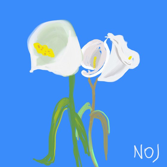 GA#184 Calla flowers