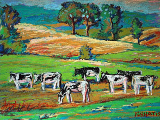 Cows  in the pasture.